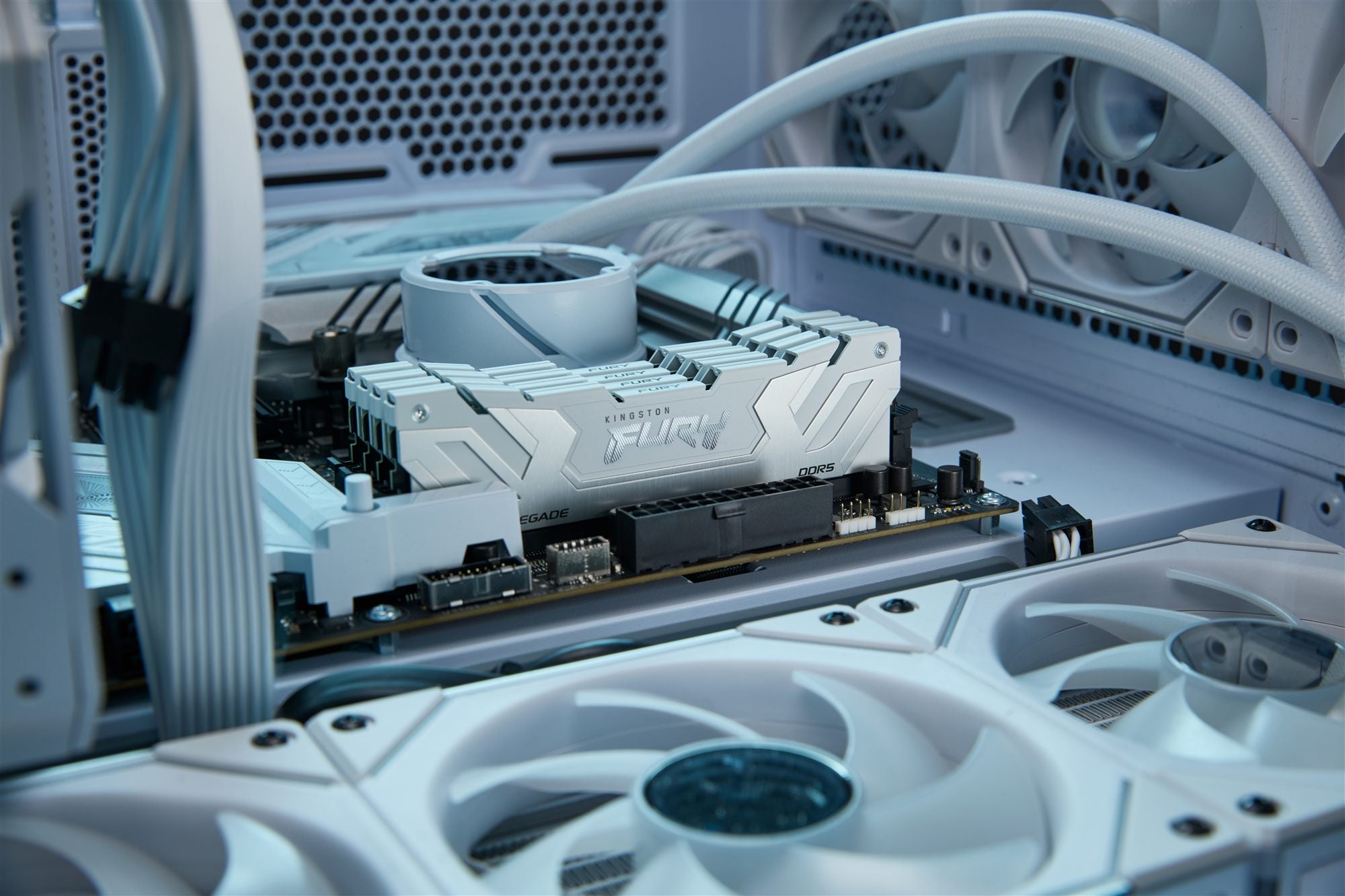 KINGSTON 24Go 8800MT/s DDR5 CL42 CUDIMM FURY Renegade White