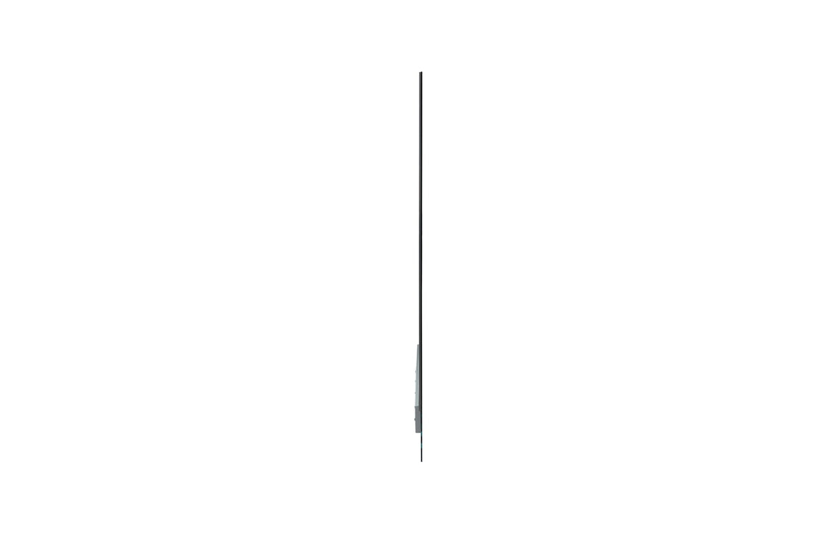 LG - Afficheur Professionnel 55" 55EW5G-V