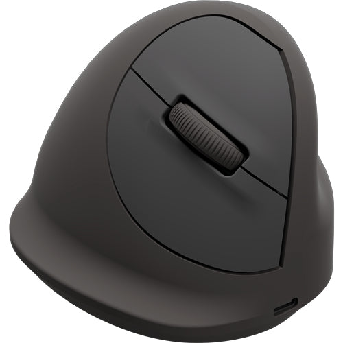 FELLOWES BREYTA PLUS+ SOURIS VERTICALE ERGONOMIQUE - TAILLE LARGE POUR DROITIER