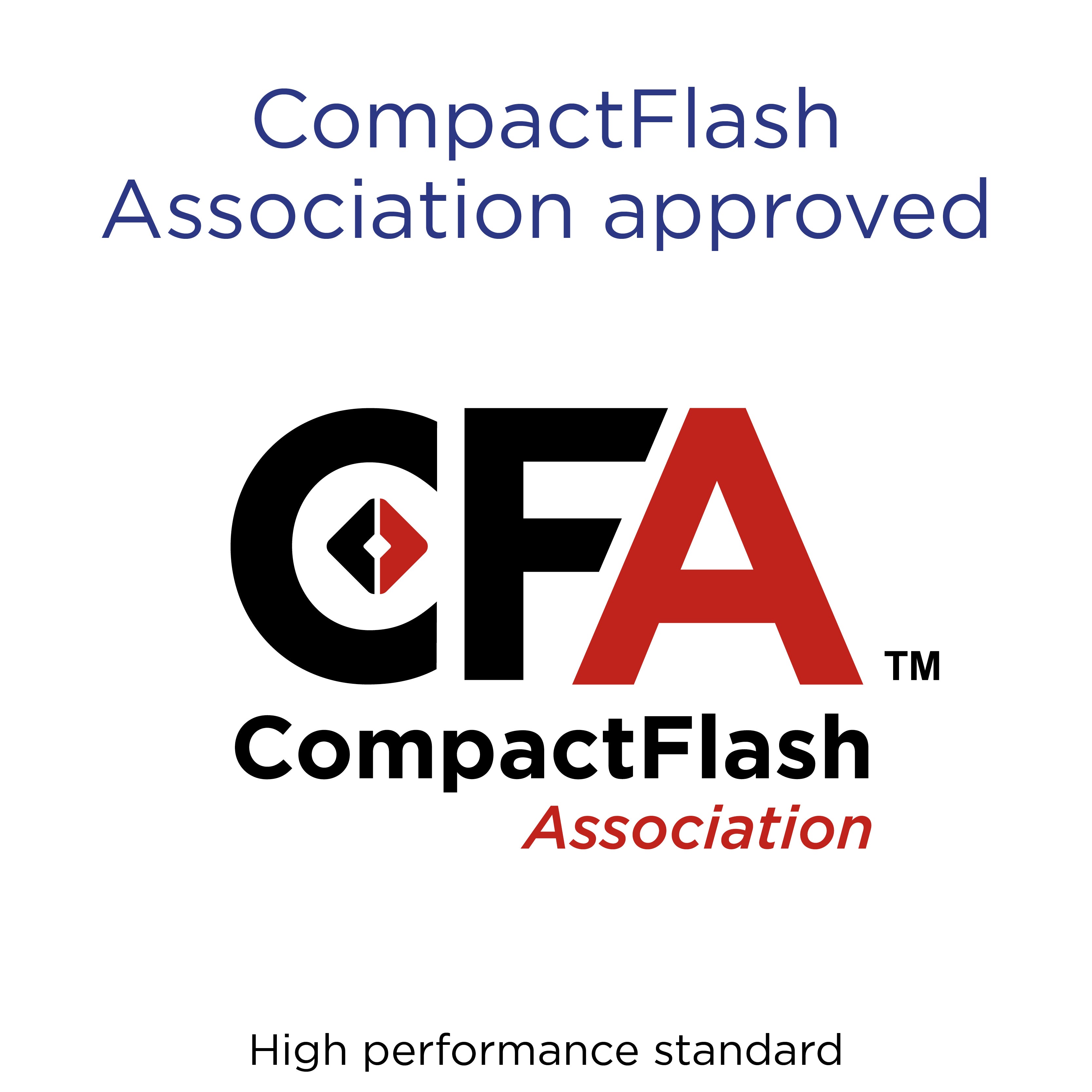 Compact Flash 4GB