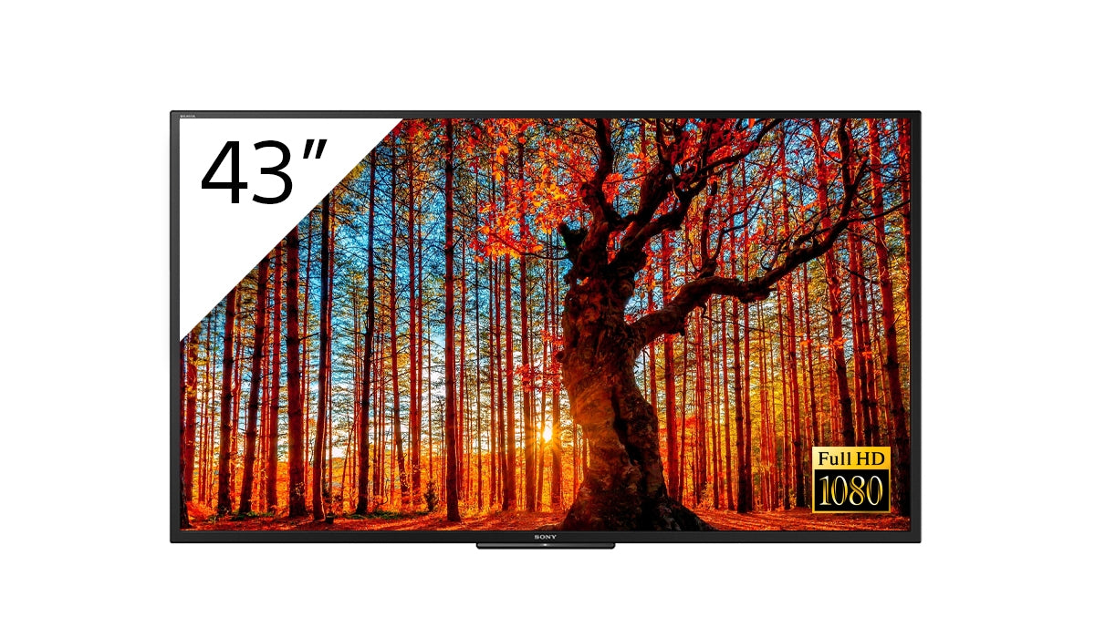 SONY- Ecran professionnel 43" FWD-43W66F/T