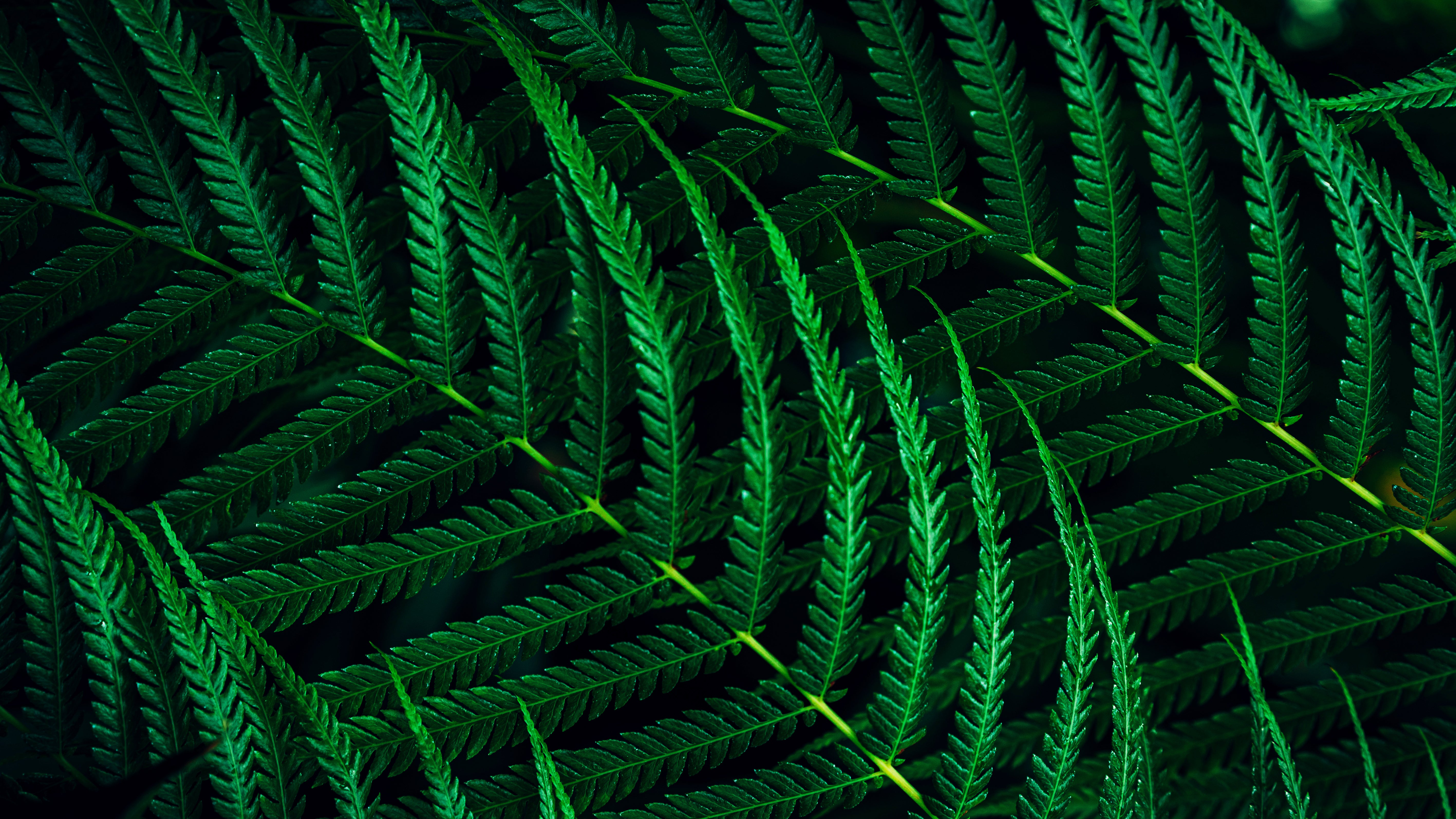 PHILIPS 27B2G5200/00 Ecran 27p FHD LED 16:9 IPS 75Hz D-SUB HDMI 1.4 DP 1.2