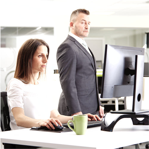 FELLOWES 17IN STD FILTRE PRIVASCREEN