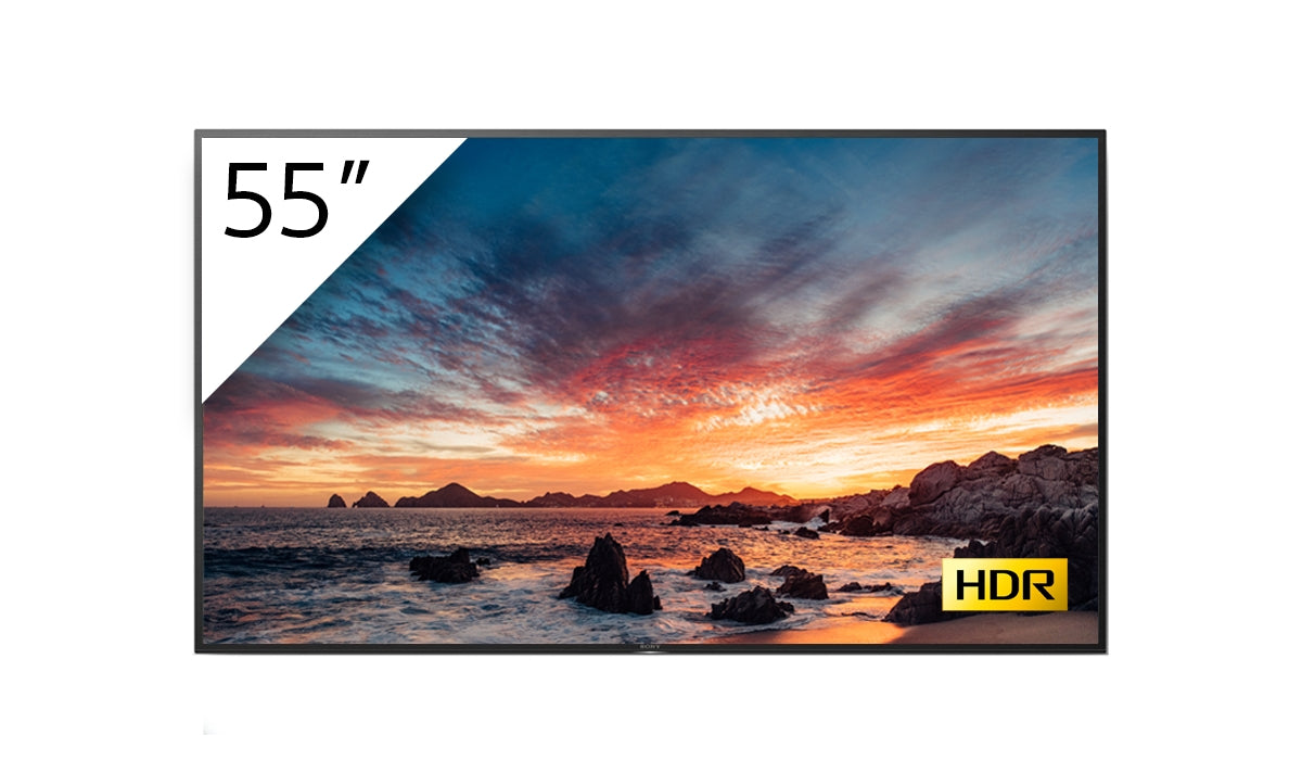 SONY- Téléviseur professionnel 55" FWD-55X80H/T