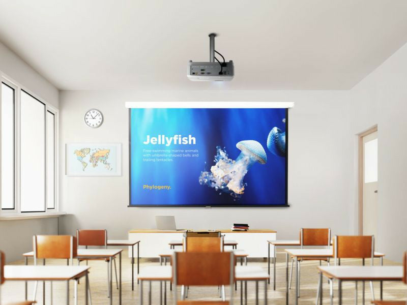 ViewSonic PA504W projector