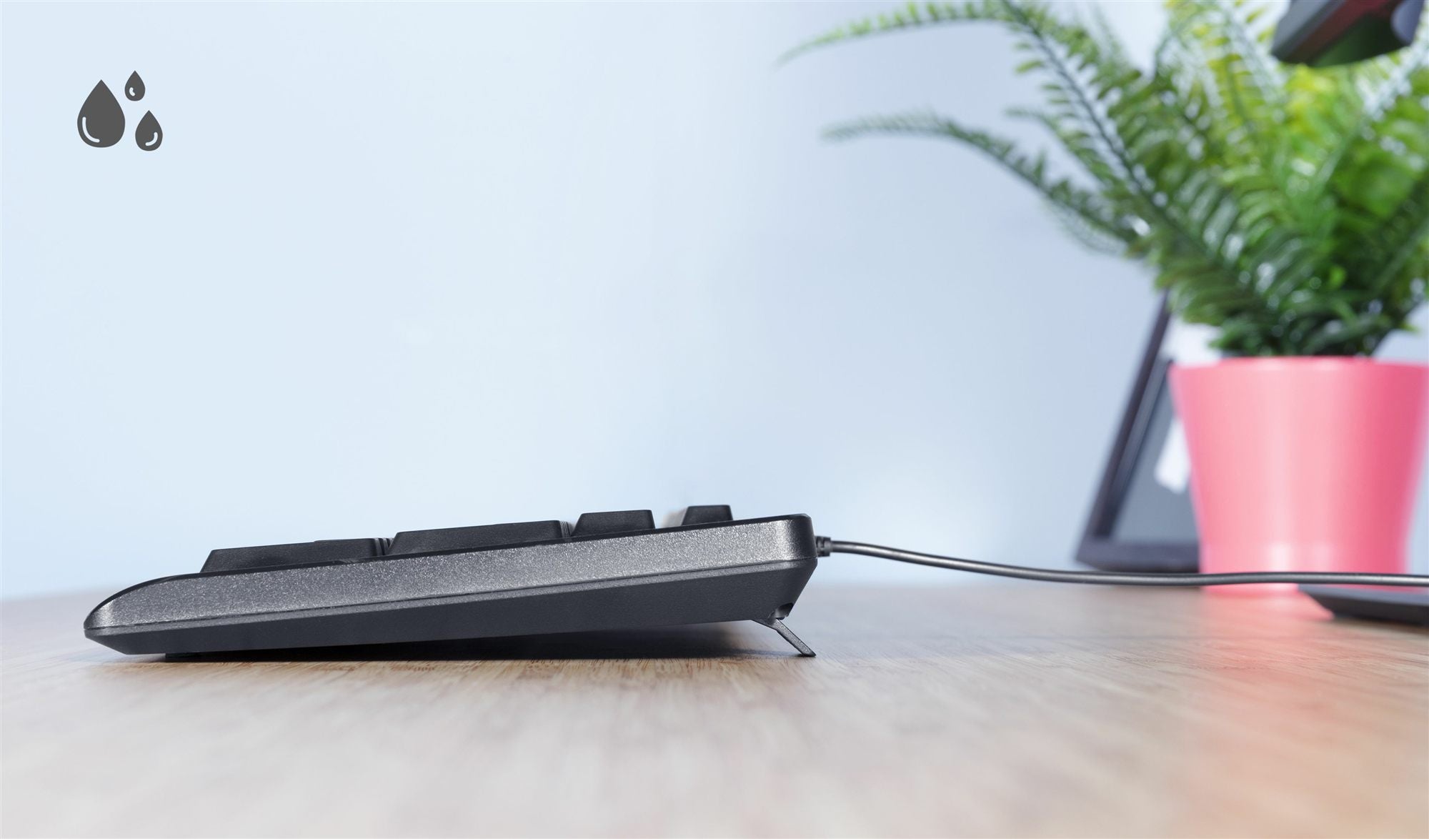 TRUST Clavier filaire PRIMO (FR)