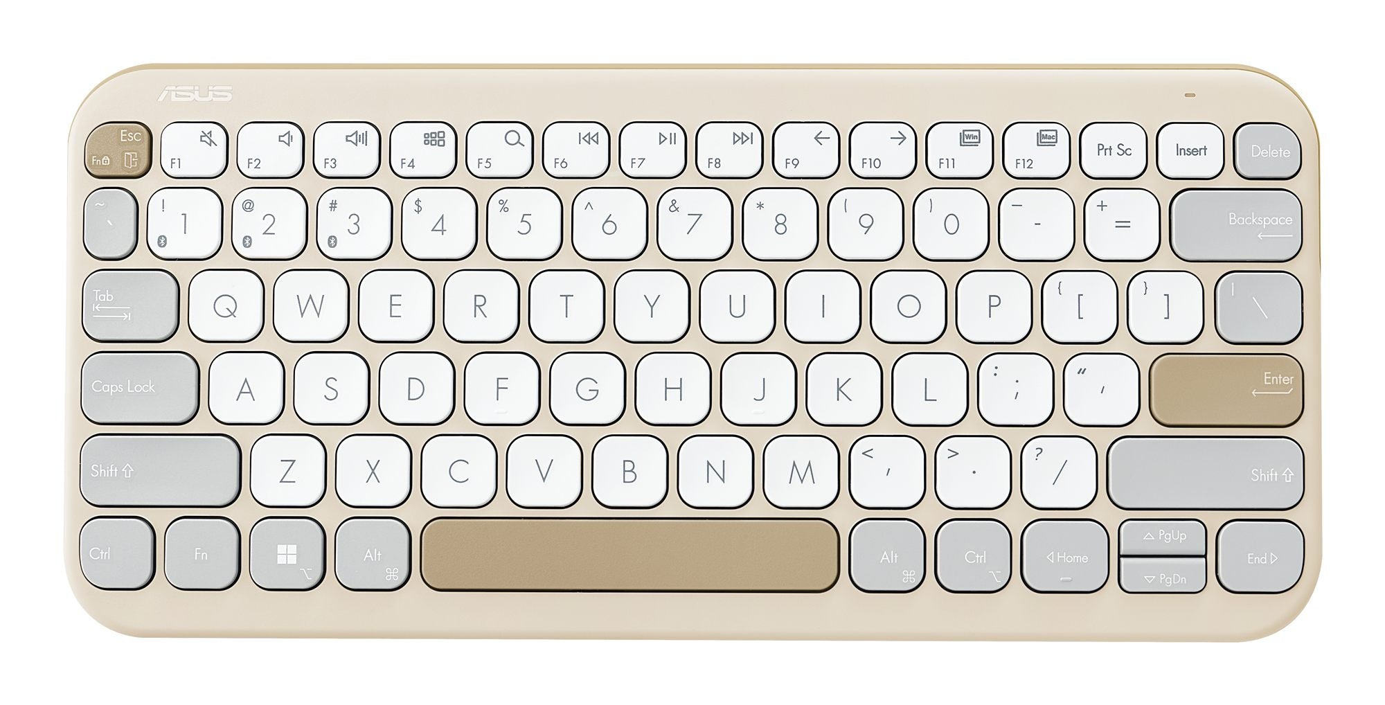 KW100 KEYBOARD/BG/FR