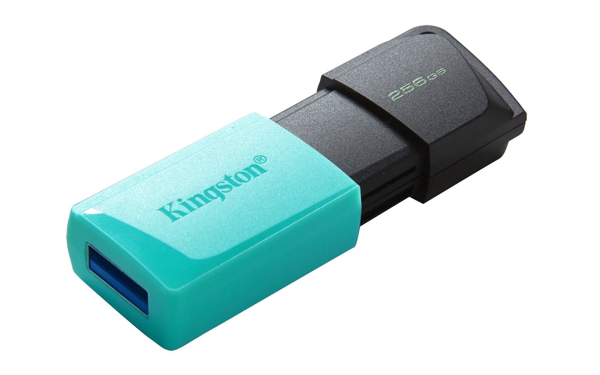 KINGSTON 256Go DataTraveler Exodia M