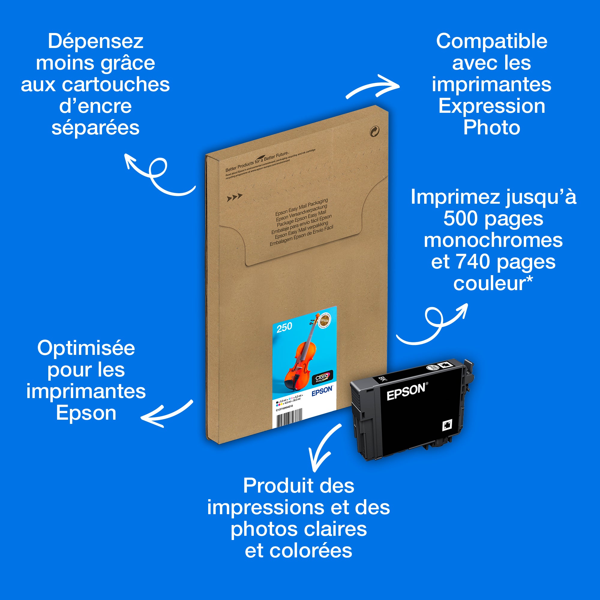 EPSON Multipack 6-colours 250 Easymail