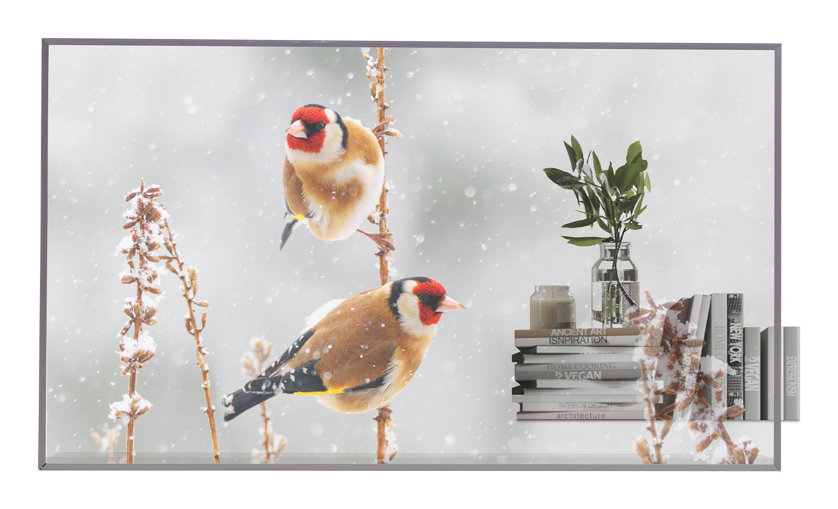 55EW5P-M/OLED 55'' transparent OpenFrame