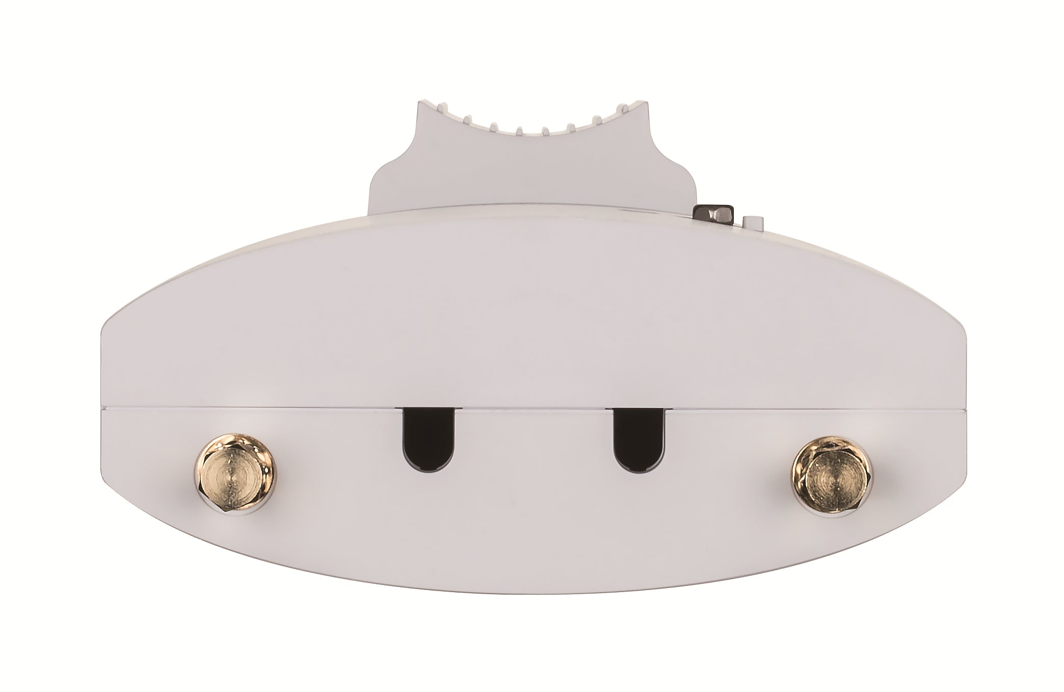 Wireless AC1300 Wave 2 Outdoor Cloud Man
