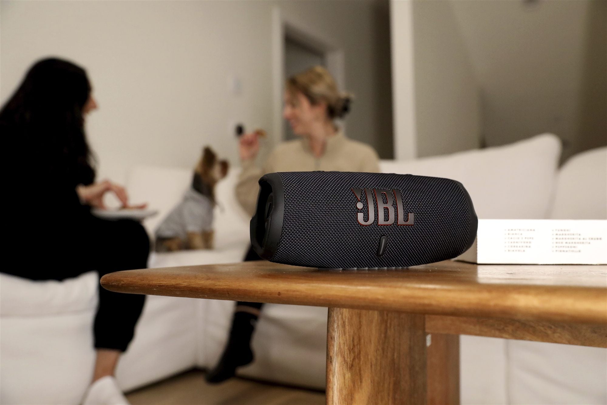 JBL Charge  Gris