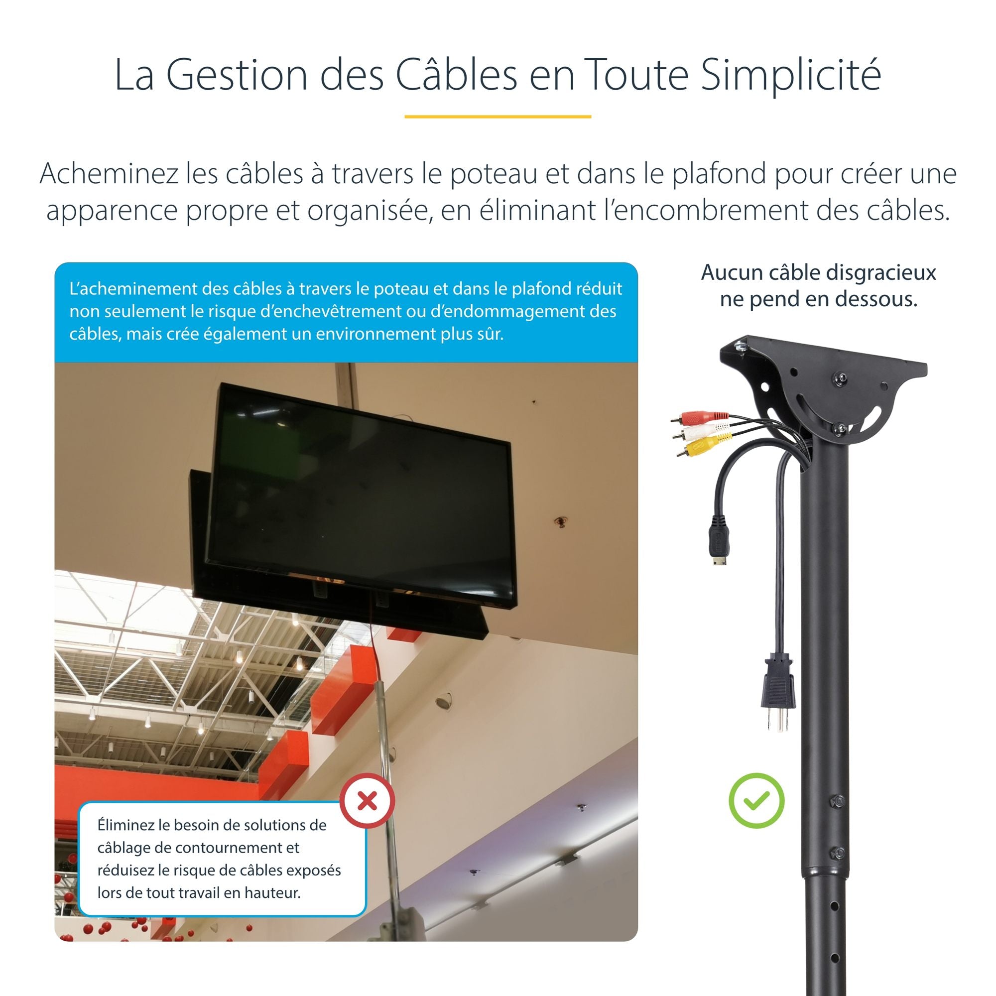 TV Mount - Ceiling - Dual Back to Back