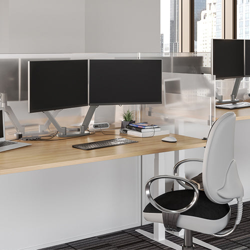 Chief Dynamic Monitor Arm 2 Monitor, Silver Color