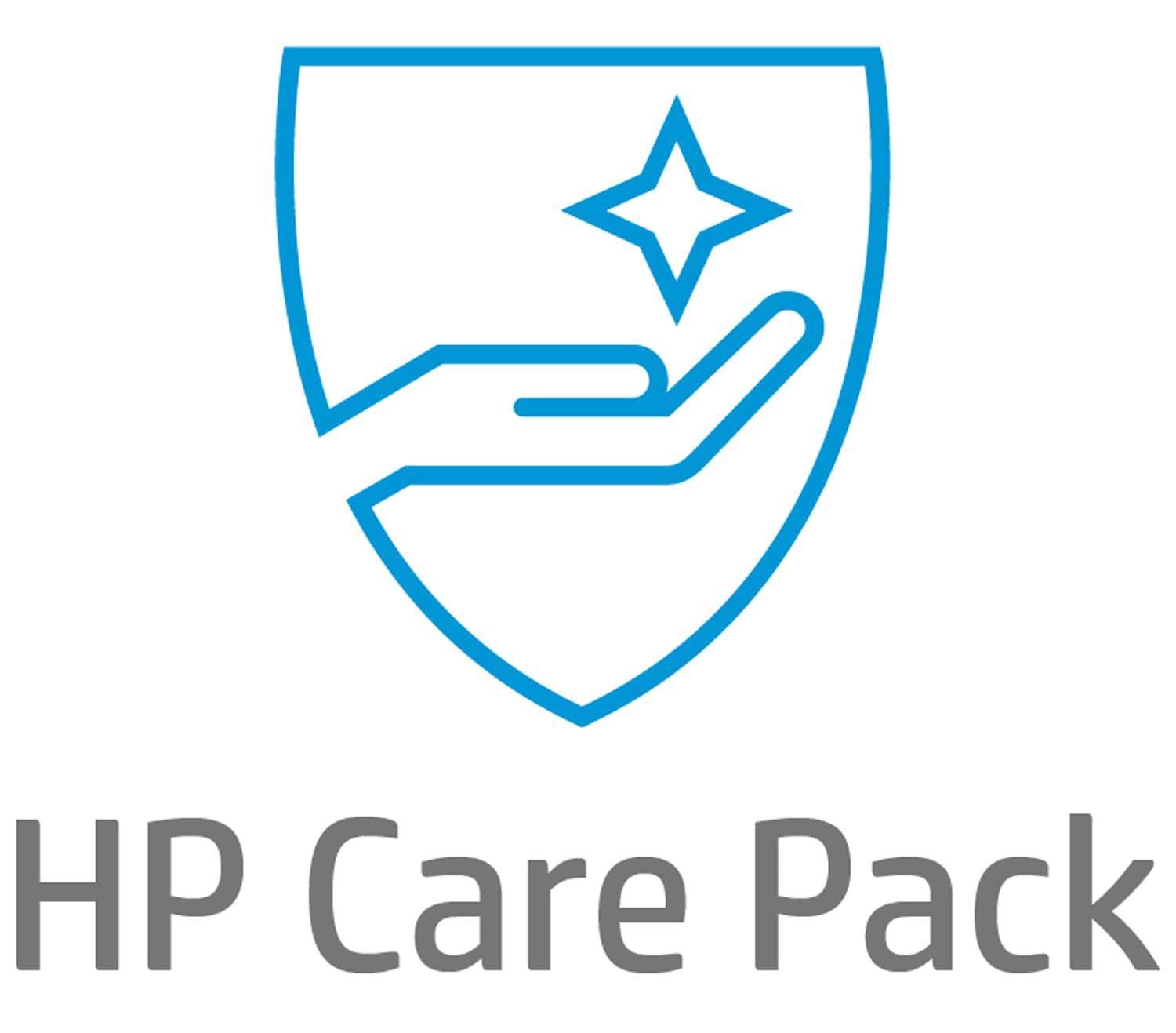 HP eCarePack 4years On-site service NBD next business day for HP medium less 30I