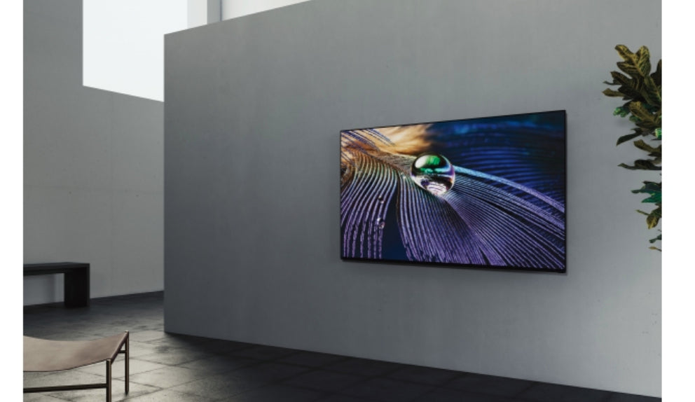 SONY- Afficheur profesionnel 55" FWD-55A90J