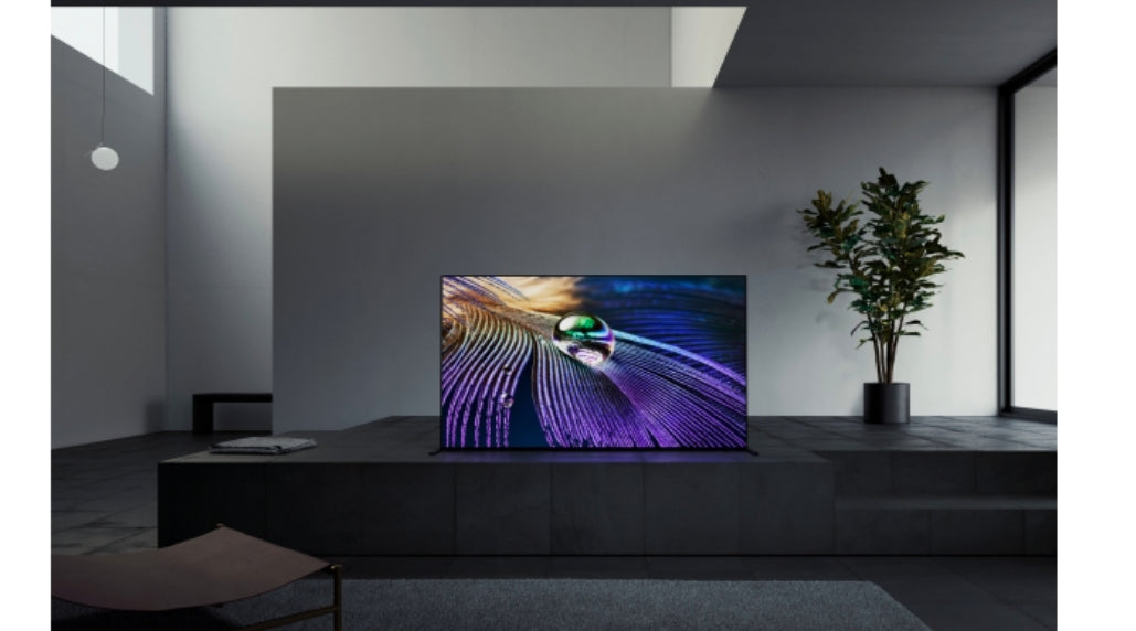 SONY- Afficheur profesionnel 55" FWD-55A90J