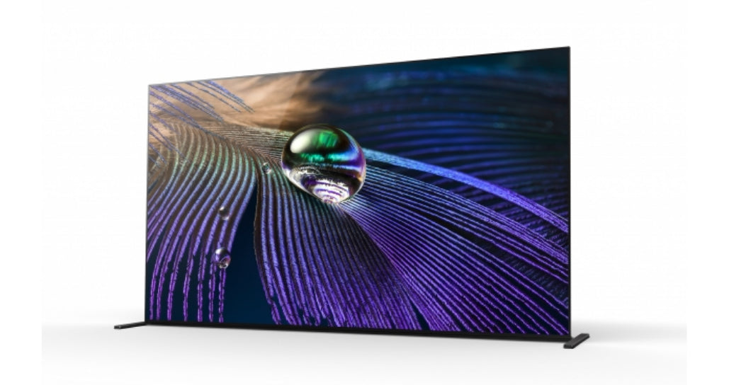 SONY- Afficheur profesionnel 55" FWD-55A90J