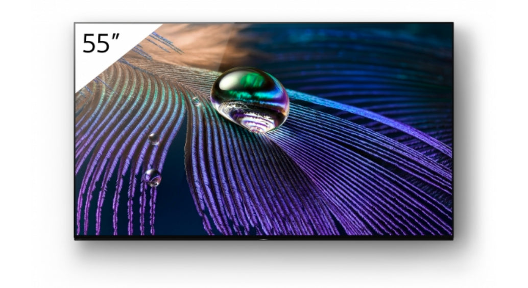 SONY- Afficheur profesionnel 55" FWD-55A90J