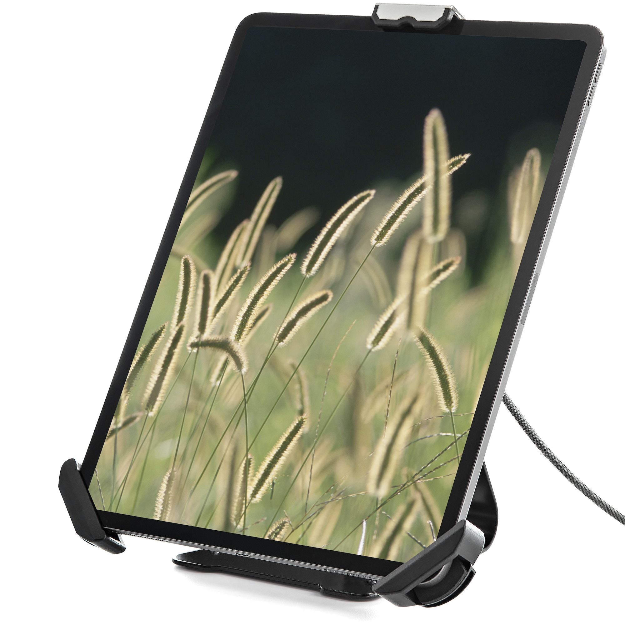 Secure Articulating Tablet Mount