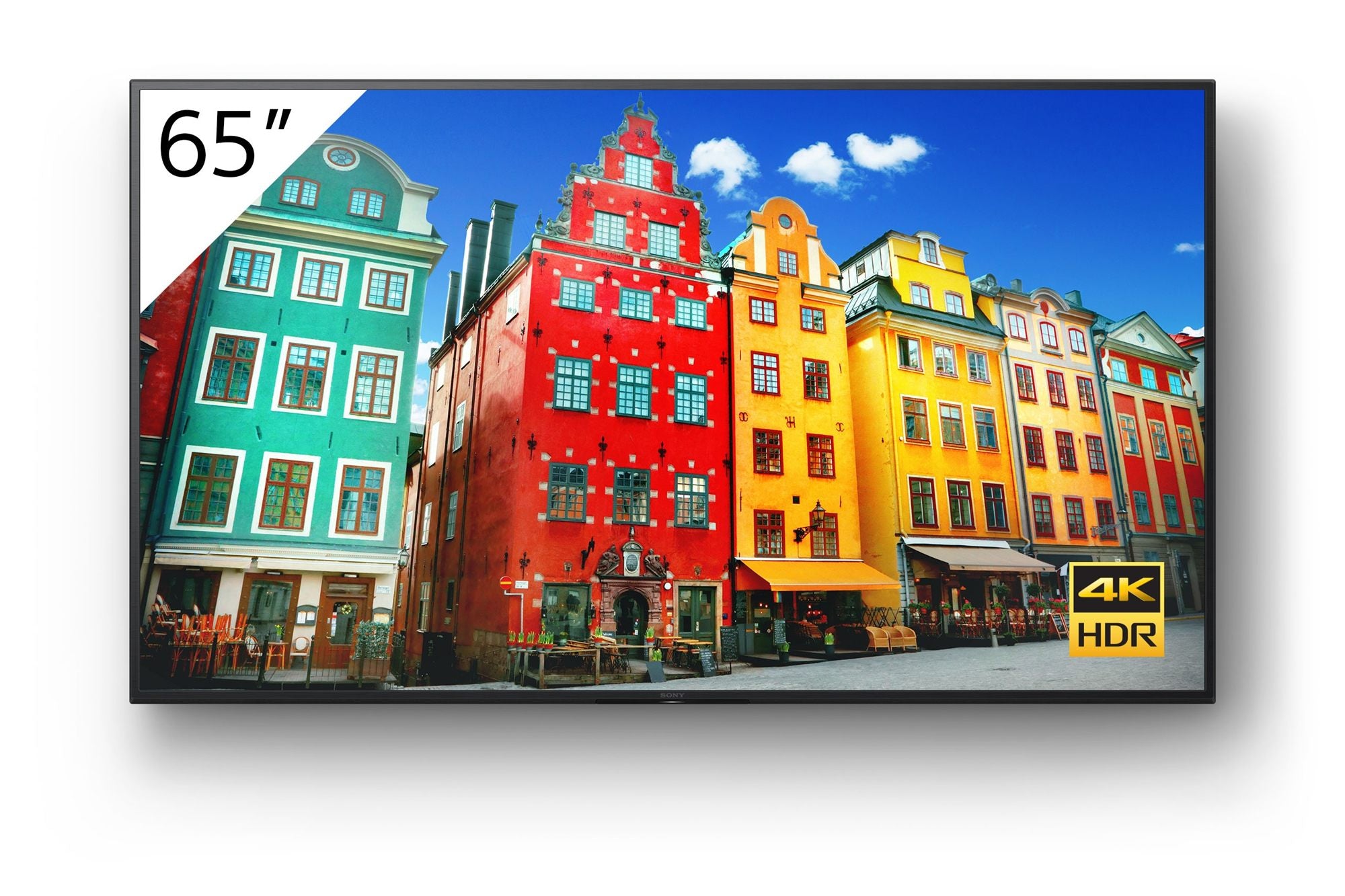 SONY- Afficheur professionnel 65" FW-65BZ30J