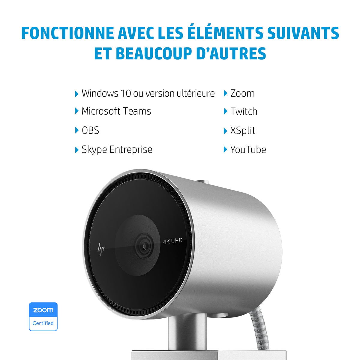 HP 950 4K webcam 3840 x 2160 pixels USB 3.2 Gen 1 (3.1 Gen 1) Noir, Argent