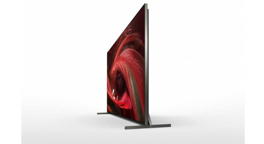 SONY- Afficheur professionnel 65" FWD-65X95J