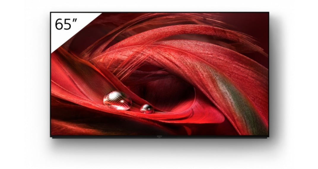 SONY- Afficheur professionnel 65" FWD-65X95J