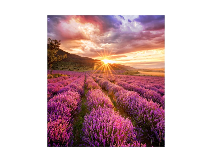 Samsung LED Signage P2.0