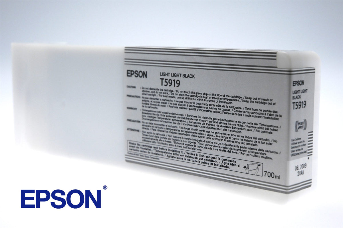 EPSON 5LB T5919 ink cartridge light light black standard capacity 700ml 1-pack