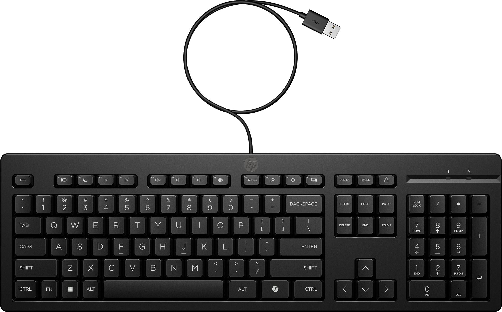 HP 125 G2 USB WD KBD Bulk