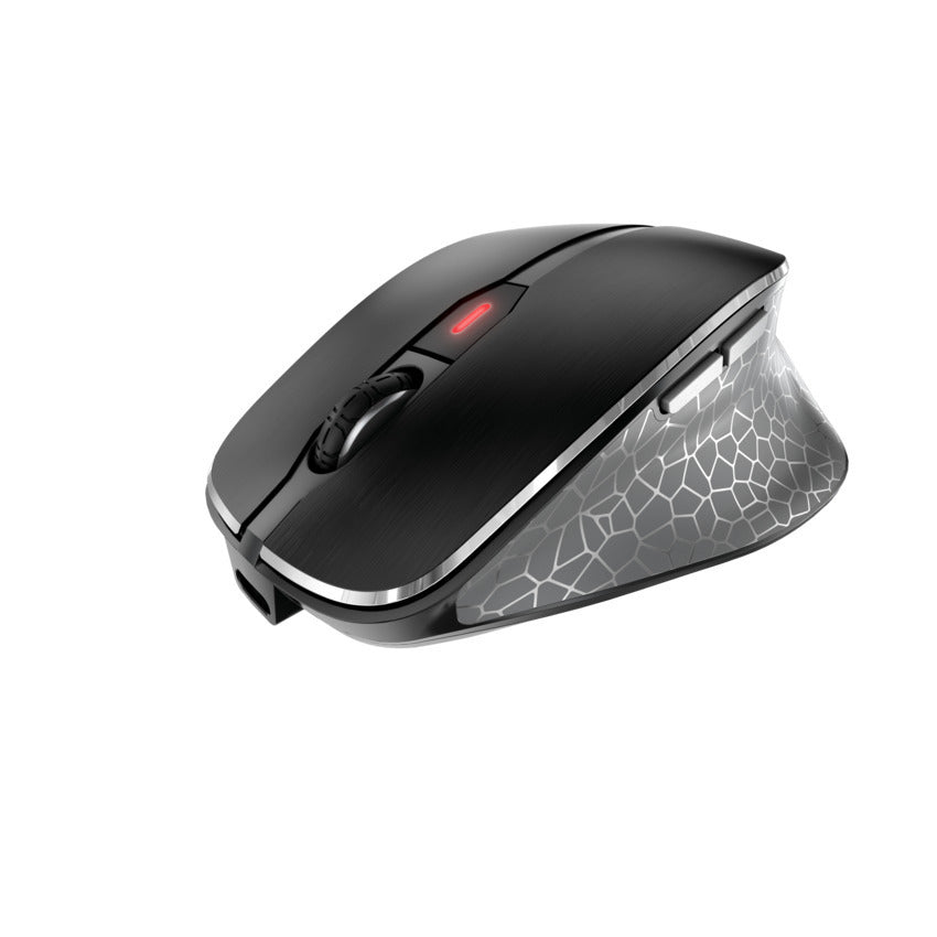 CHERRY Souris MW 8C ERGO sans fil USB & Bluetooth noire/argent rechargeable