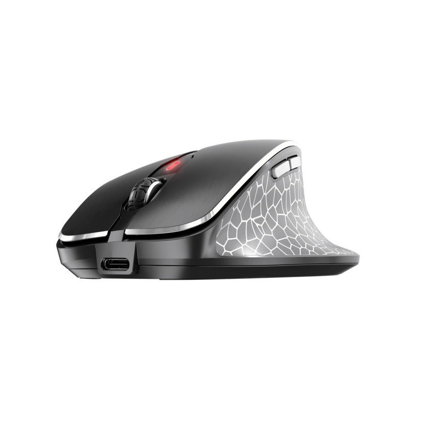 CHERRY Souris MW 8C ERGO sans fil USB & Bluetooth noire/argent rechargeable