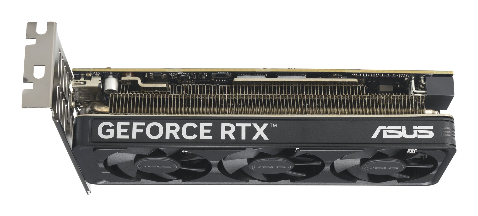 ASUS GeForce RTX 5060 OC 8Go LP BRK GDDR7 2xHDMI 1xDP