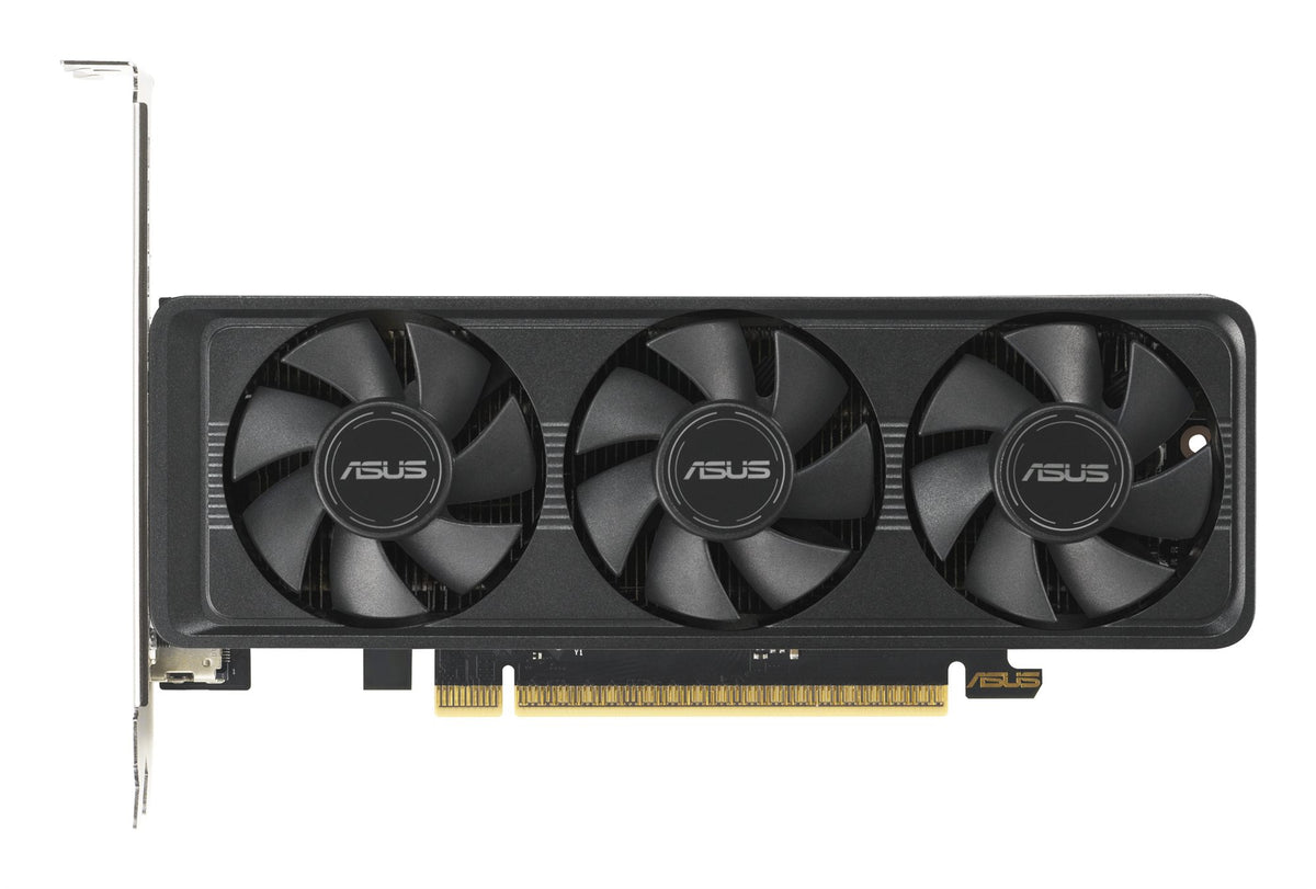 ASUS GeForce RTX 5060 OC 8Go LP BRK GDDR7 2xHDMI 1xDP