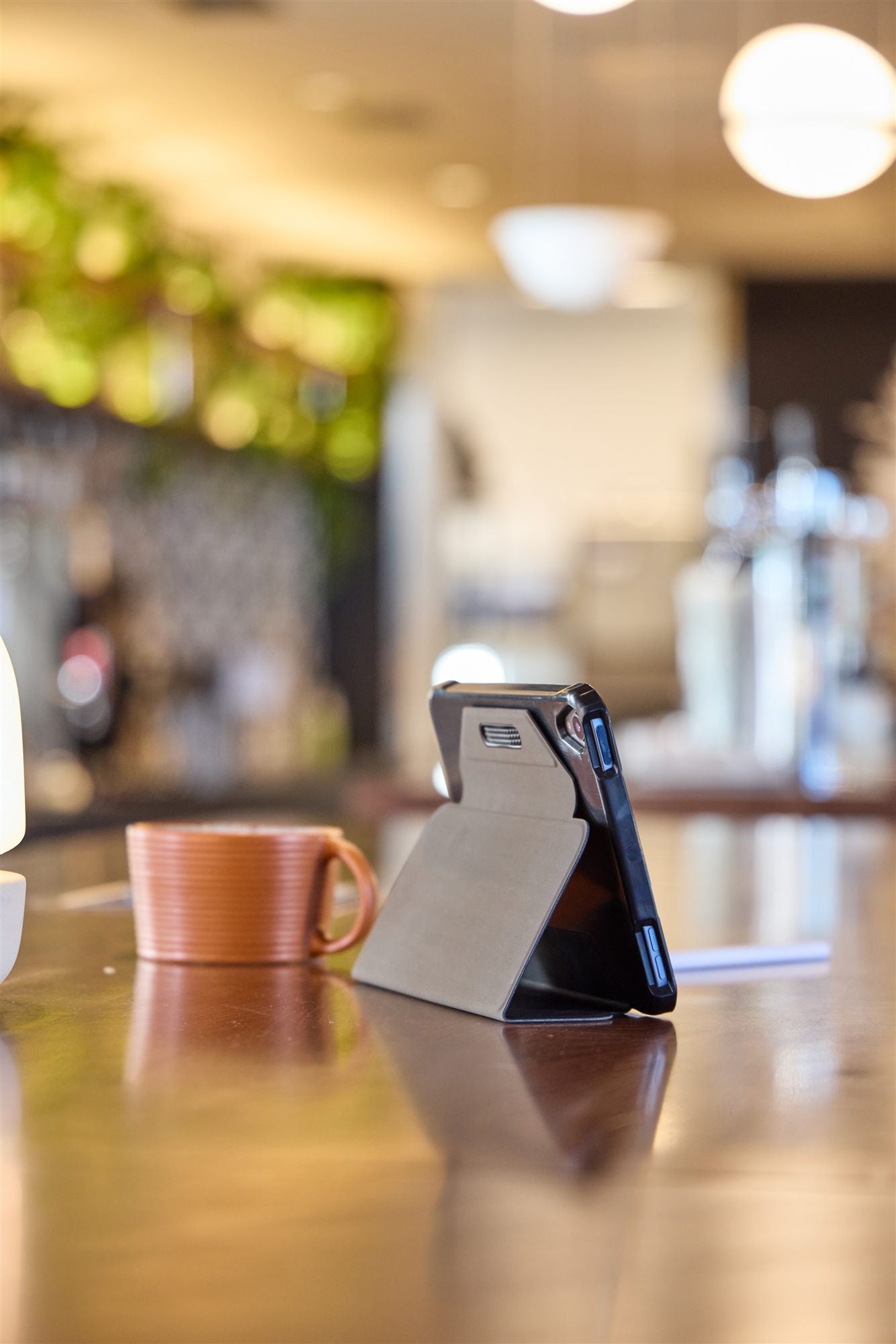 Snapview Case for iPad Mini 6 Bk