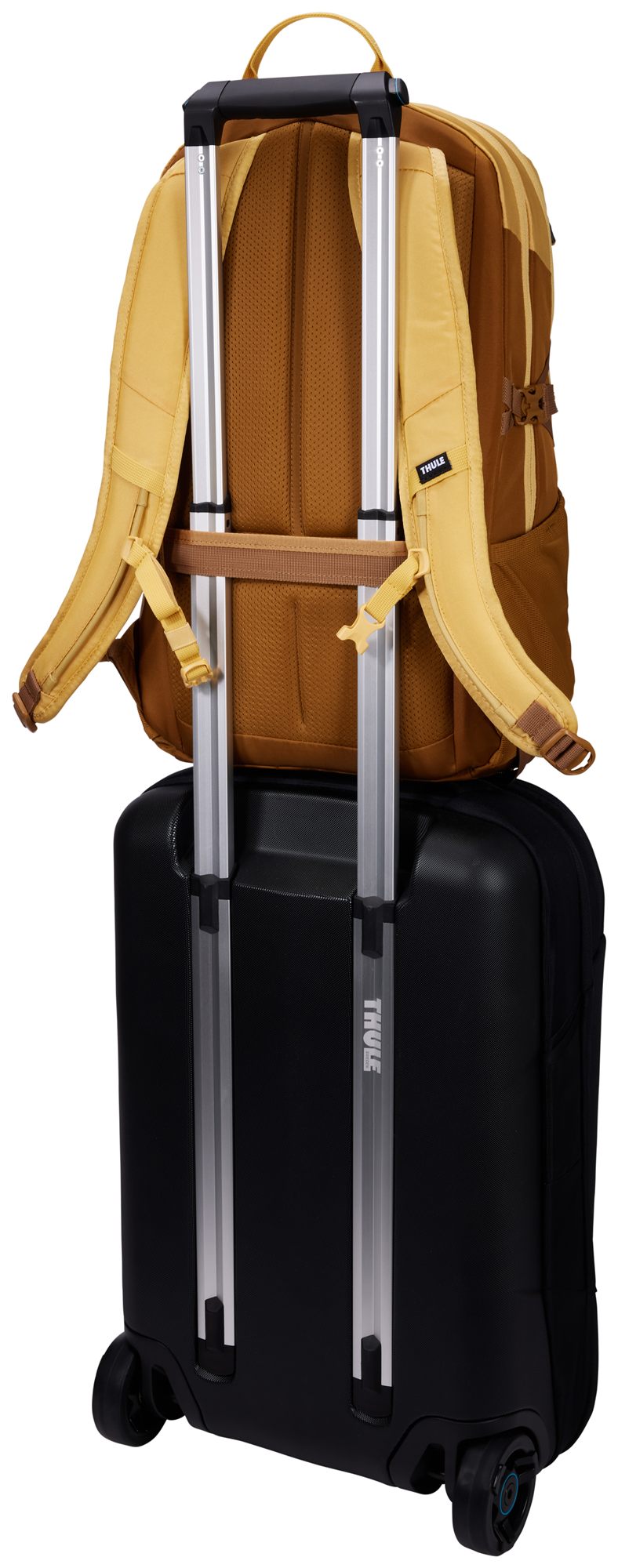 Thule EnRoute Backpack 23L Ochre/Golden