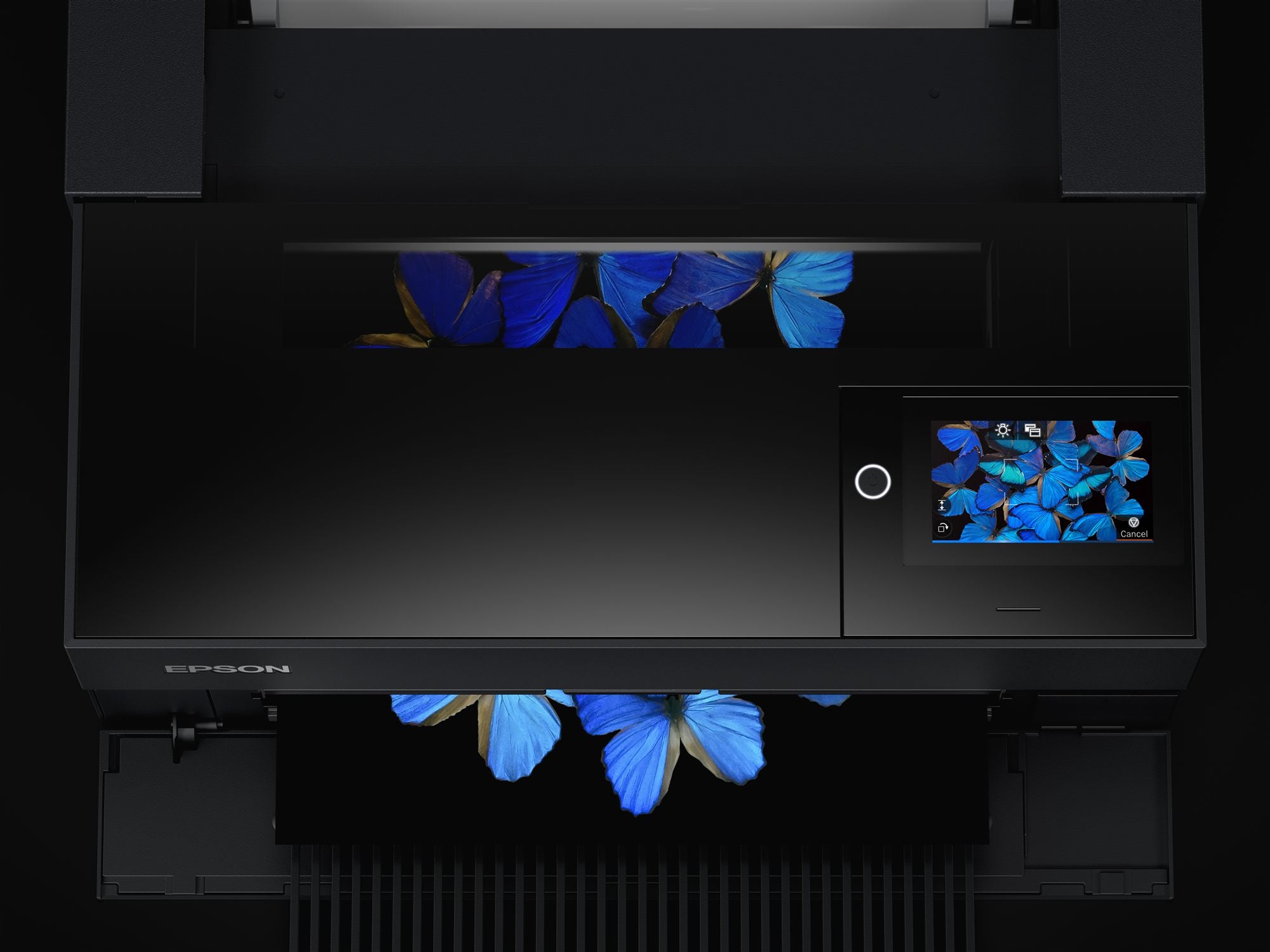 EPSON SureColor SC-P700 Printer colour ink-jet A3 Plus 5760x1440dpi capacity 120 sheets LAN USB host USB 3.0 Wi-Fi