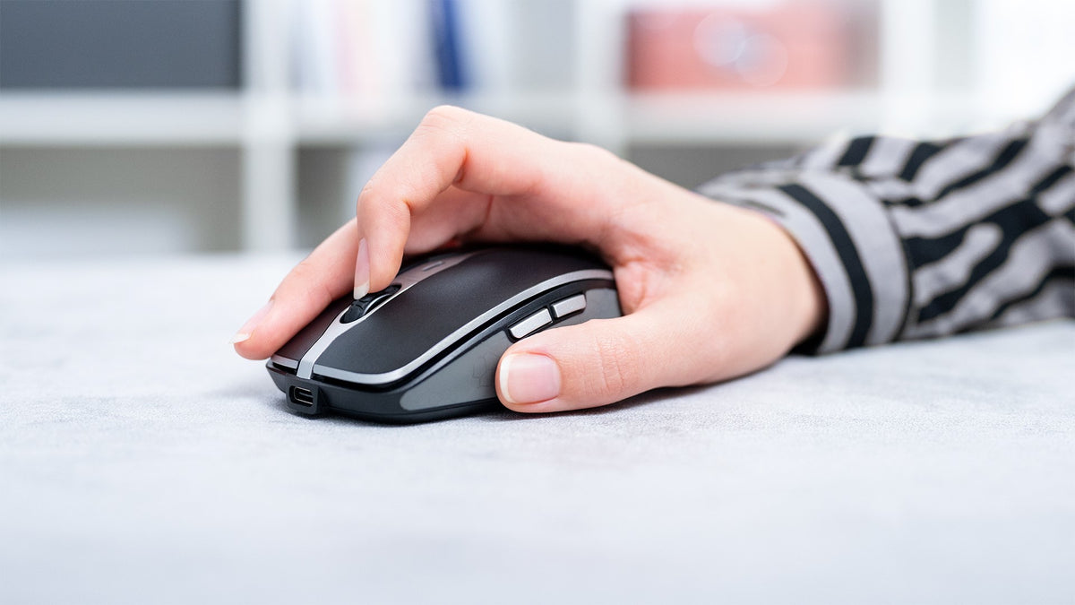 CHERRY Souris MW 9100 sans fil nano USB / BT noire