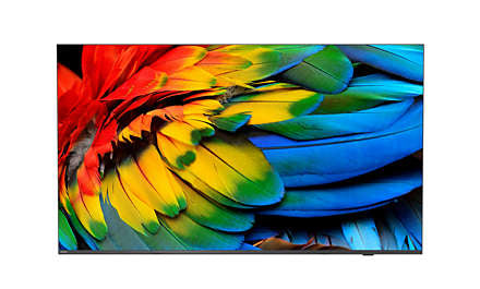 PHILIPS- Téléviseur professionnel 58" MediaSuite 58HFL6214U