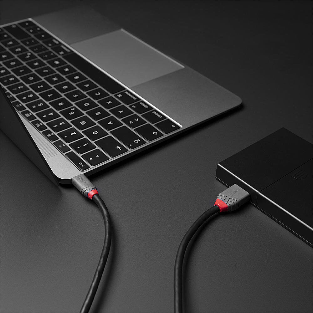 LINDY 2m USB 3.2 Type C to Micro-B Cable Anthra Line