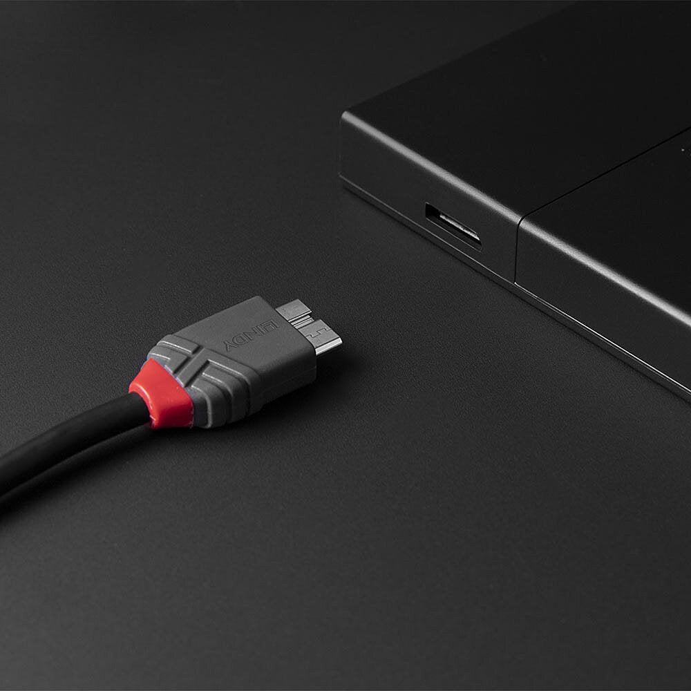 LINDY 3m USB 3.2 Type C to Micro-B Cable Anthra Line