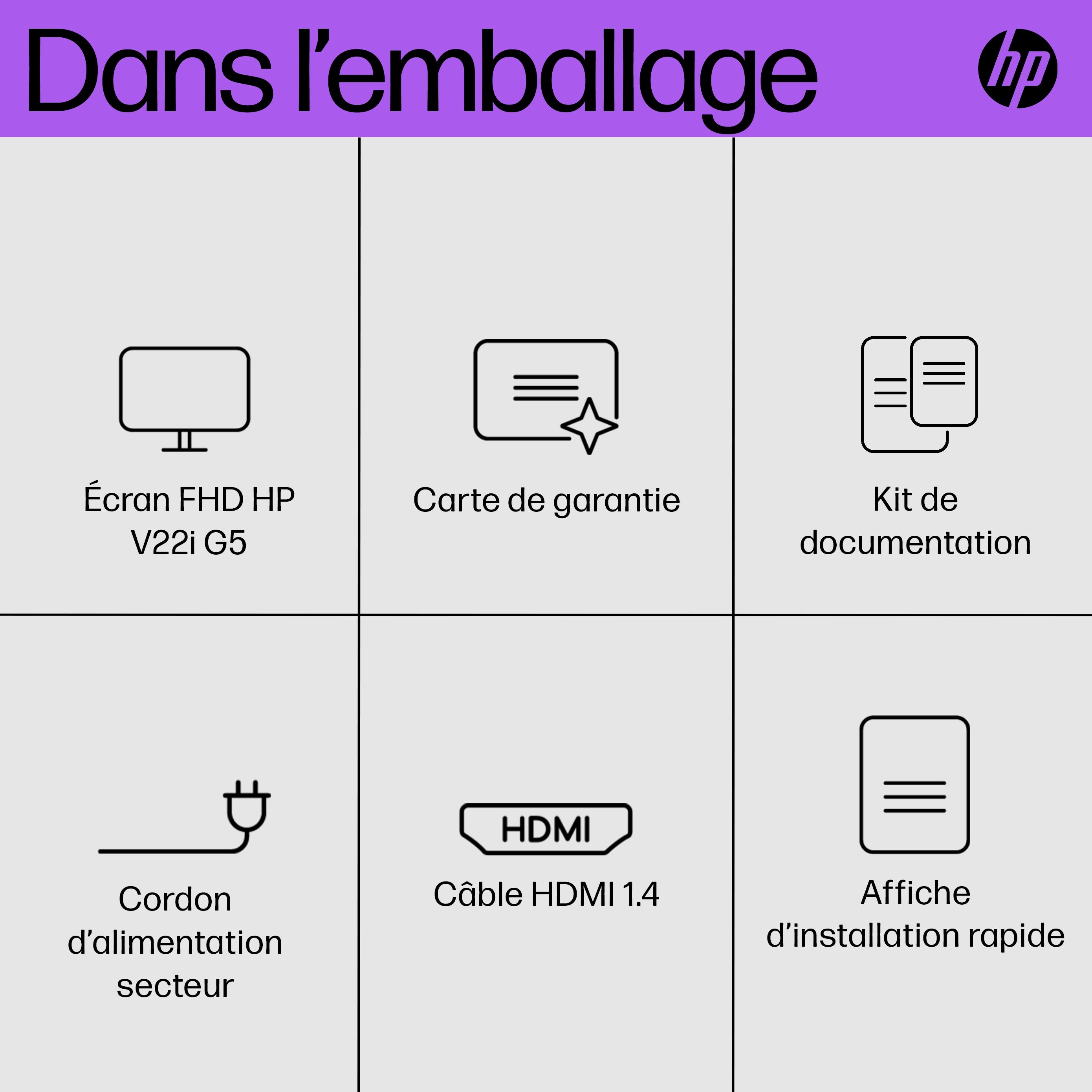HP V22i G5 FHD Mon