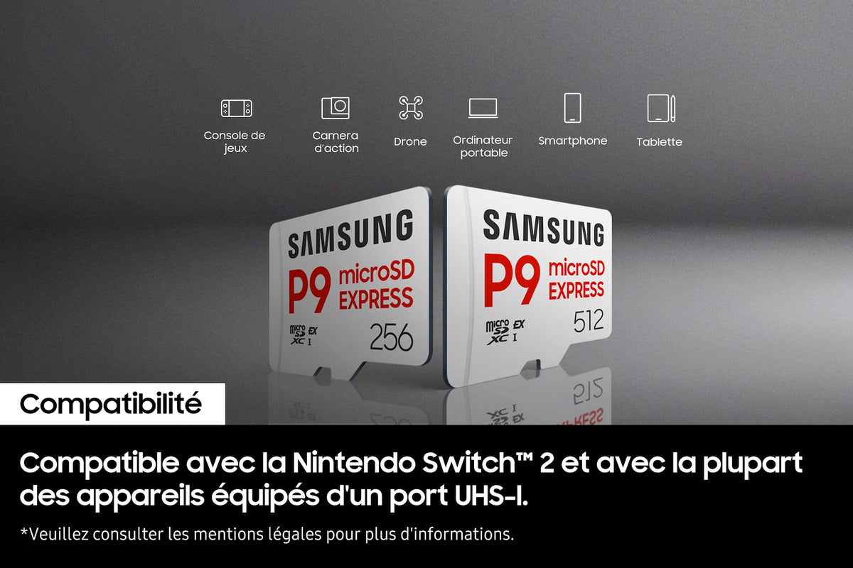 Samsung MicroSD 256GB P9 Express