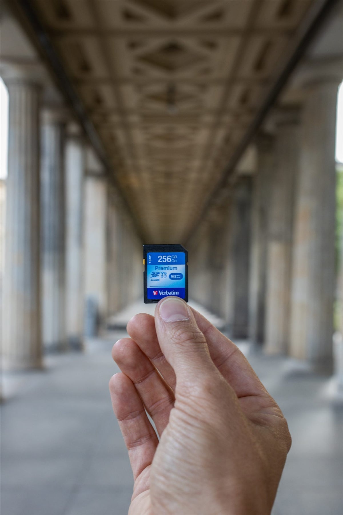 SecrueDigital/16GB SDHC Class 10