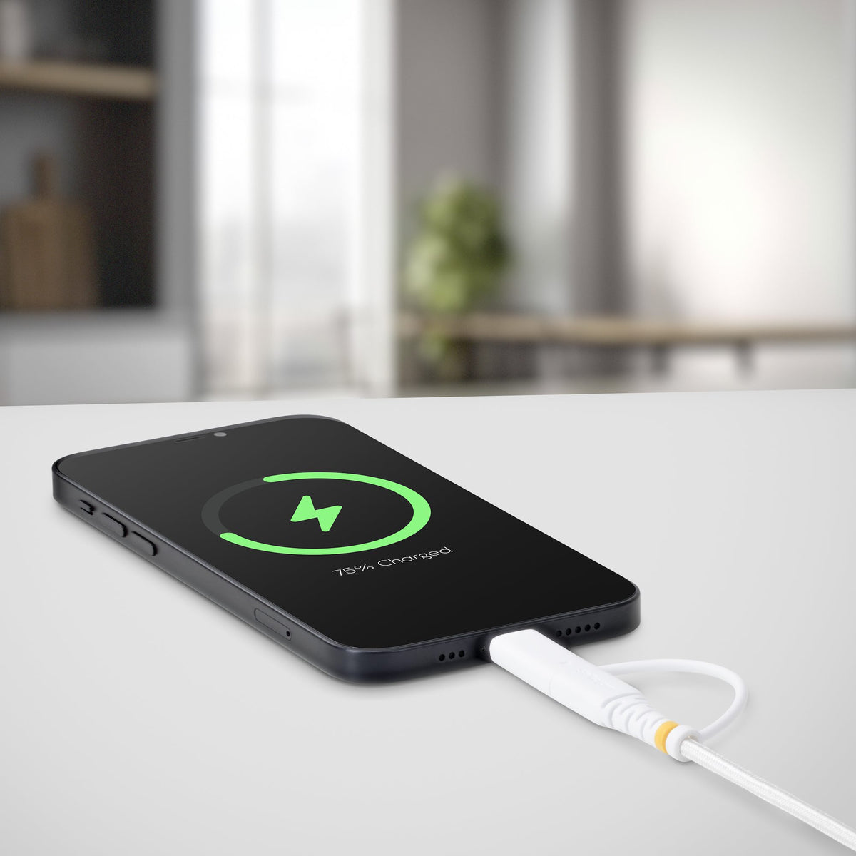 1m 3.3ft USB-C Cable with Lightning