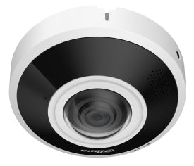 Dahua IPC-EBW5641P-AS Caméra IP