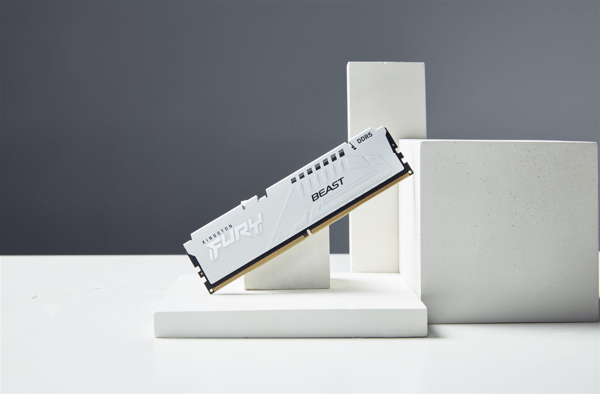 KINGSTON FURY Beast 64Go DIMM DDR5 5600MT/s DDR5 CL40 Kit of 2 White XMP