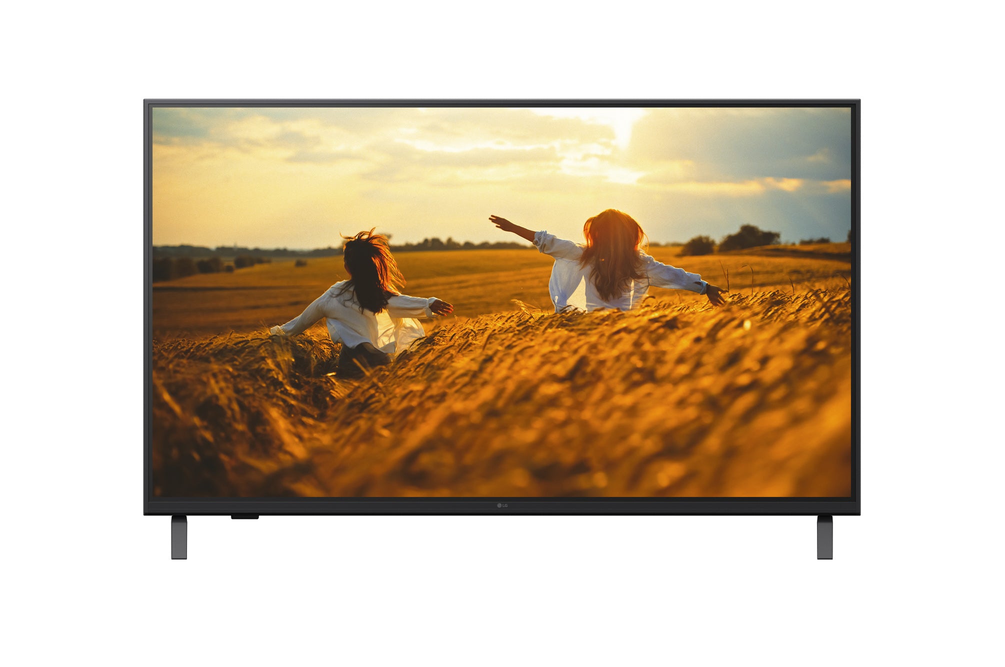 LG - Téléviseur professionnel 43" 43UK660H UHD