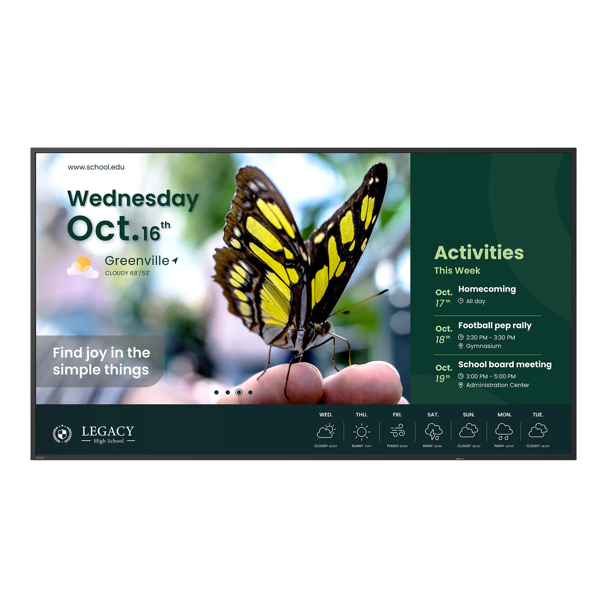 65" Backlight : direct LED